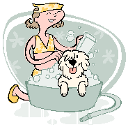 犬を洗うの画像