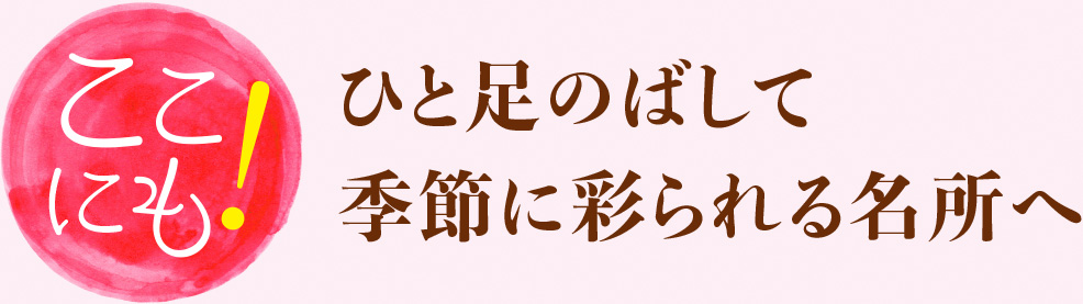 ひと足のばして季節に彩られる名所へ