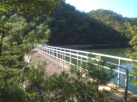 太郎谷ダムの画像