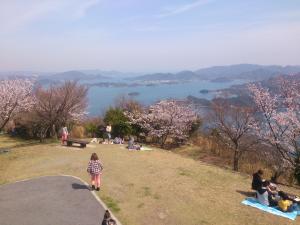 桜と筆影山