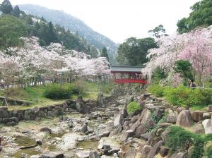 桜と御調八幡宮