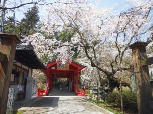 桜と御調八幡宮