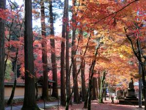 紅葉の佛通寺