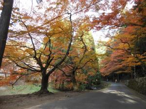 紅葉の佛通寺