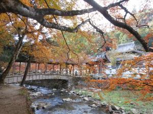 紅葉の佛通寺