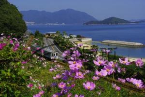 呉線と瀬戸内海 画像
