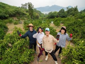 鷺島みかんじまプロジェクト