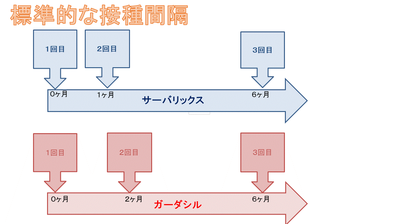 標準的な摂取感覚