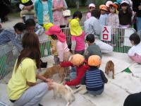 犬と子どもの写真