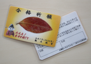 カード写真