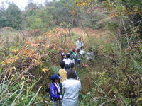 里山の事前学習3