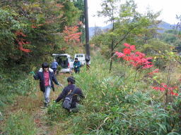 真っ赤に紅葉した木々（ハゼ）　　