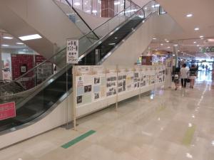 パネル展の様子①