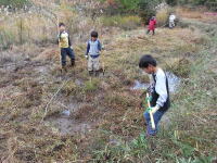 大人に交じって草を運搬2