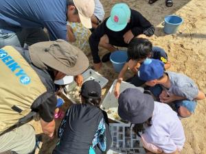採取した生物を調べる子供たち