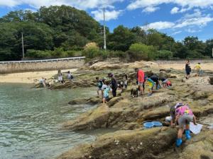 岩場で生き物を採取するこどもたち