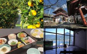 柳井クルーズホテル（昼食）、はくとり稲荷神社、周防大島のみかん農園、竜崎温泉ちどりの写真