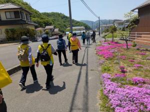 ウォーキング中の写真