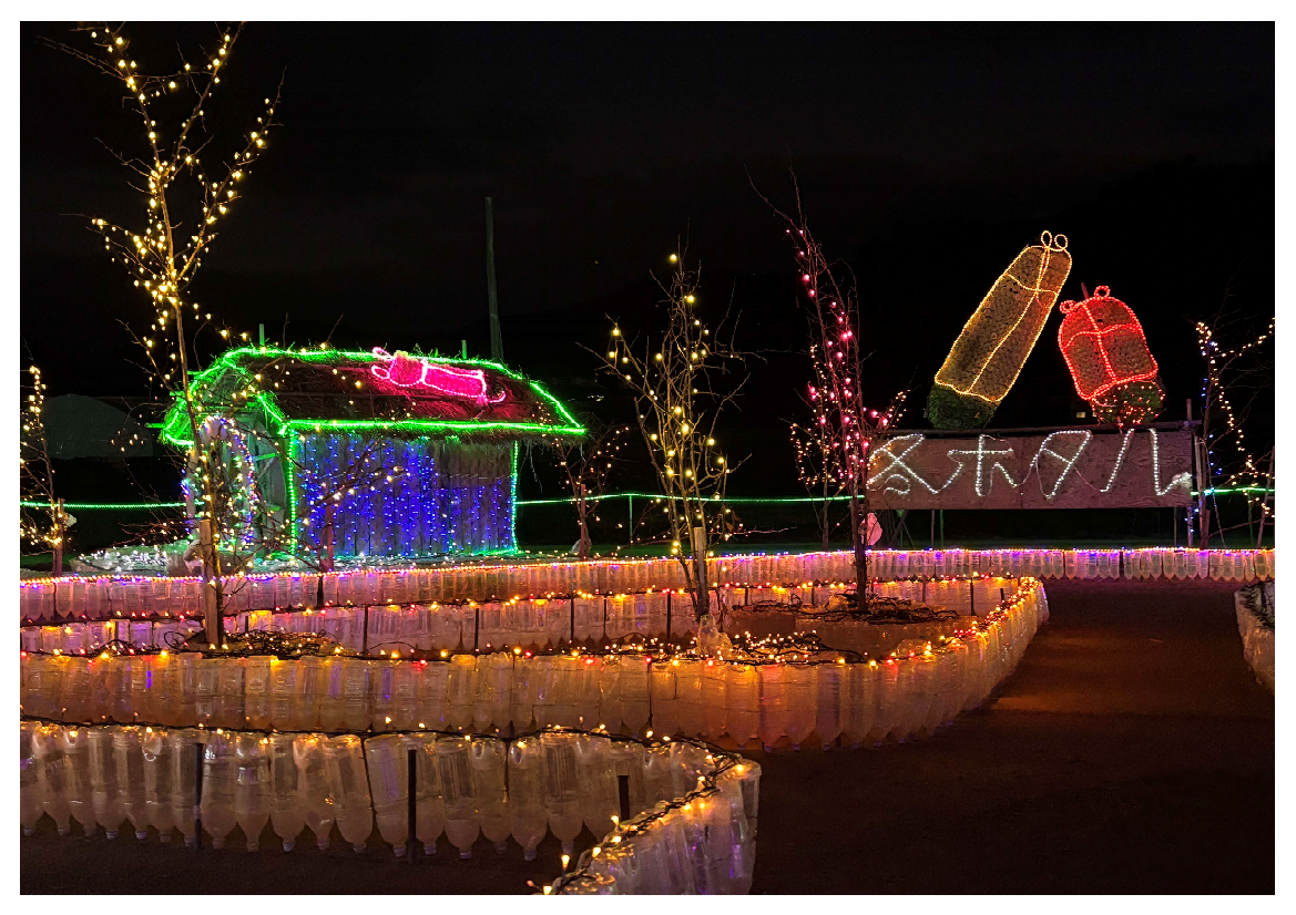 冬ホタル2025 No.3