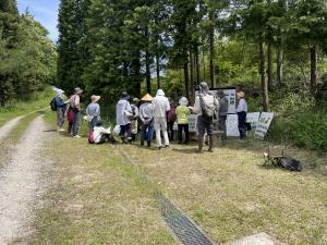 中島顧問の解説