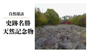 史跡名勝天然記念物