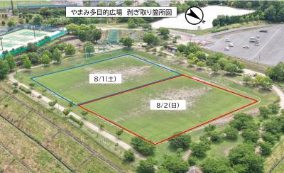 剥ぎ取り箇所図