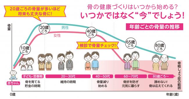 骨密度グラフ