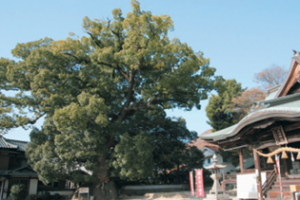 糸碕神社