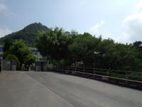 柳の坂から校舎・桜山