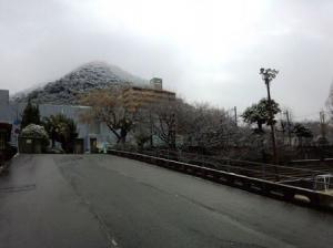 雪の桜山