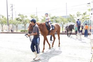 乗馬体験