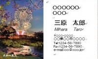 大和の花火画像