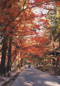 佛通寺 そら・みち・みなと