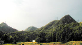 小泉町