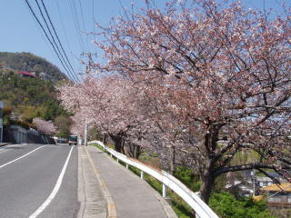 春の景色