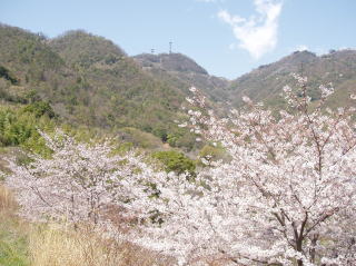 春の景色