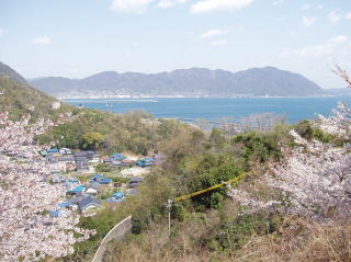 春の景色７