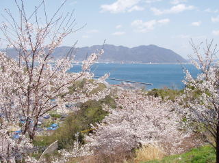 春の景色８