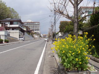 夏の景色０１
