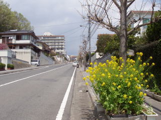 夏の景色