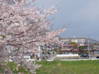 春の景色００１