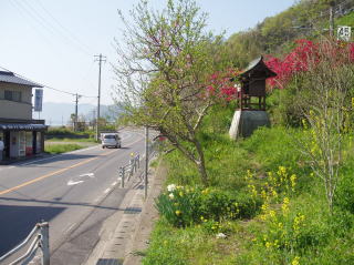 春の景色００３