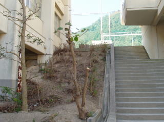 夏の景色4