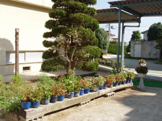 夏の景色6