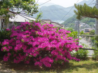 春の景色04