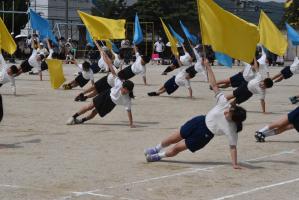体育参観日