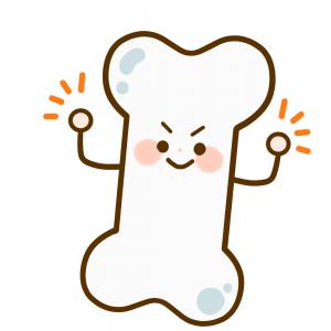 骨のイラスト