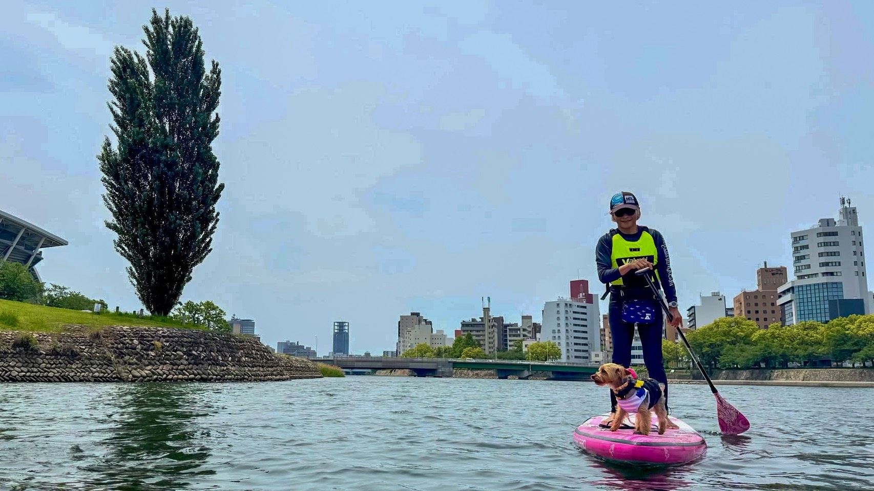 Dog Sup体験会